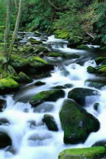 Regents Physics Waterfall Cascade